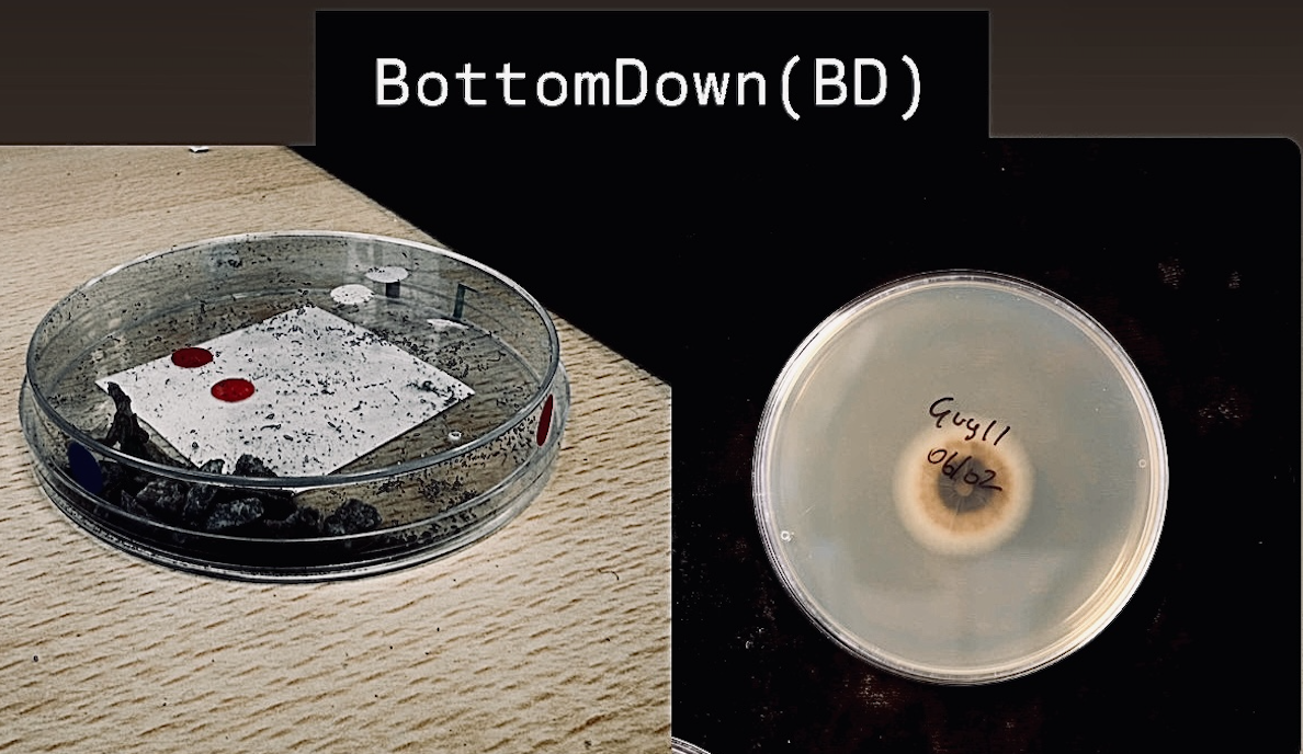 Bottom-down QR label