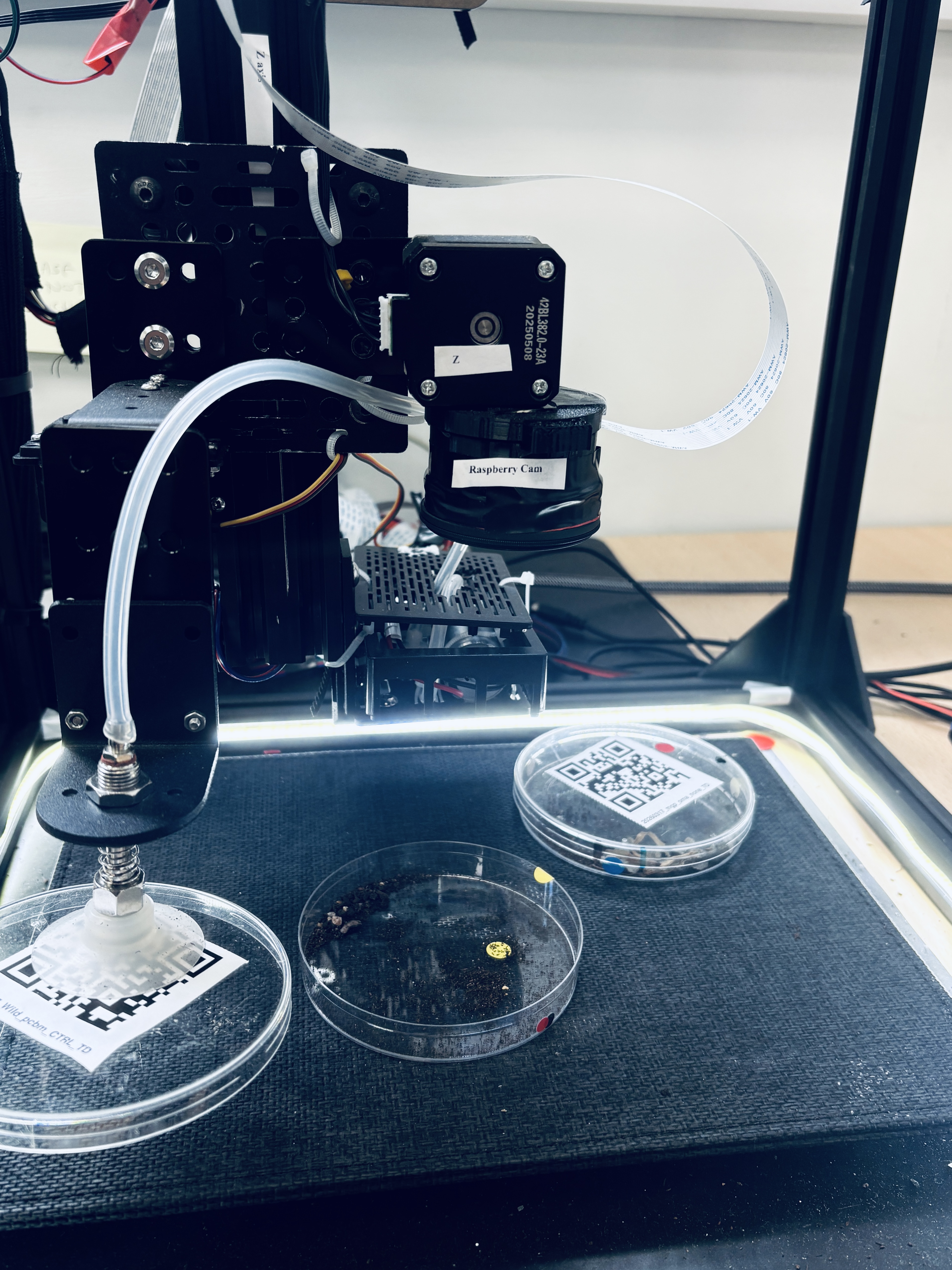 Plate lid lifted away from the dish base by the suction cup servo arm