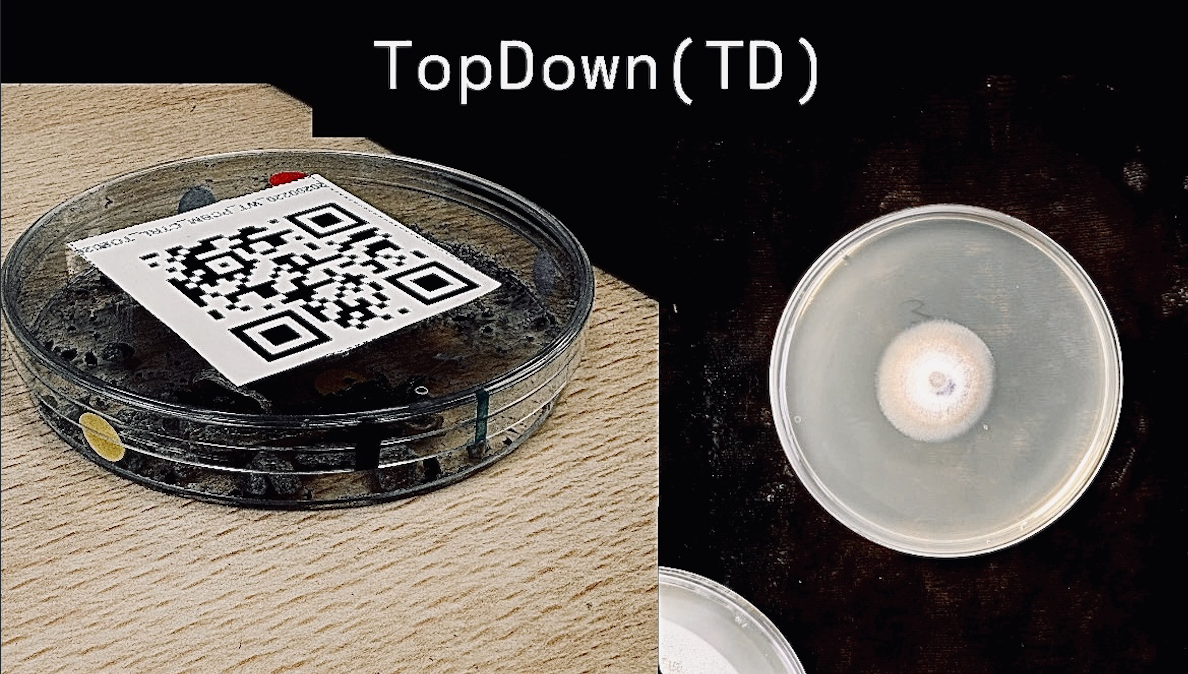 Top-down QR label