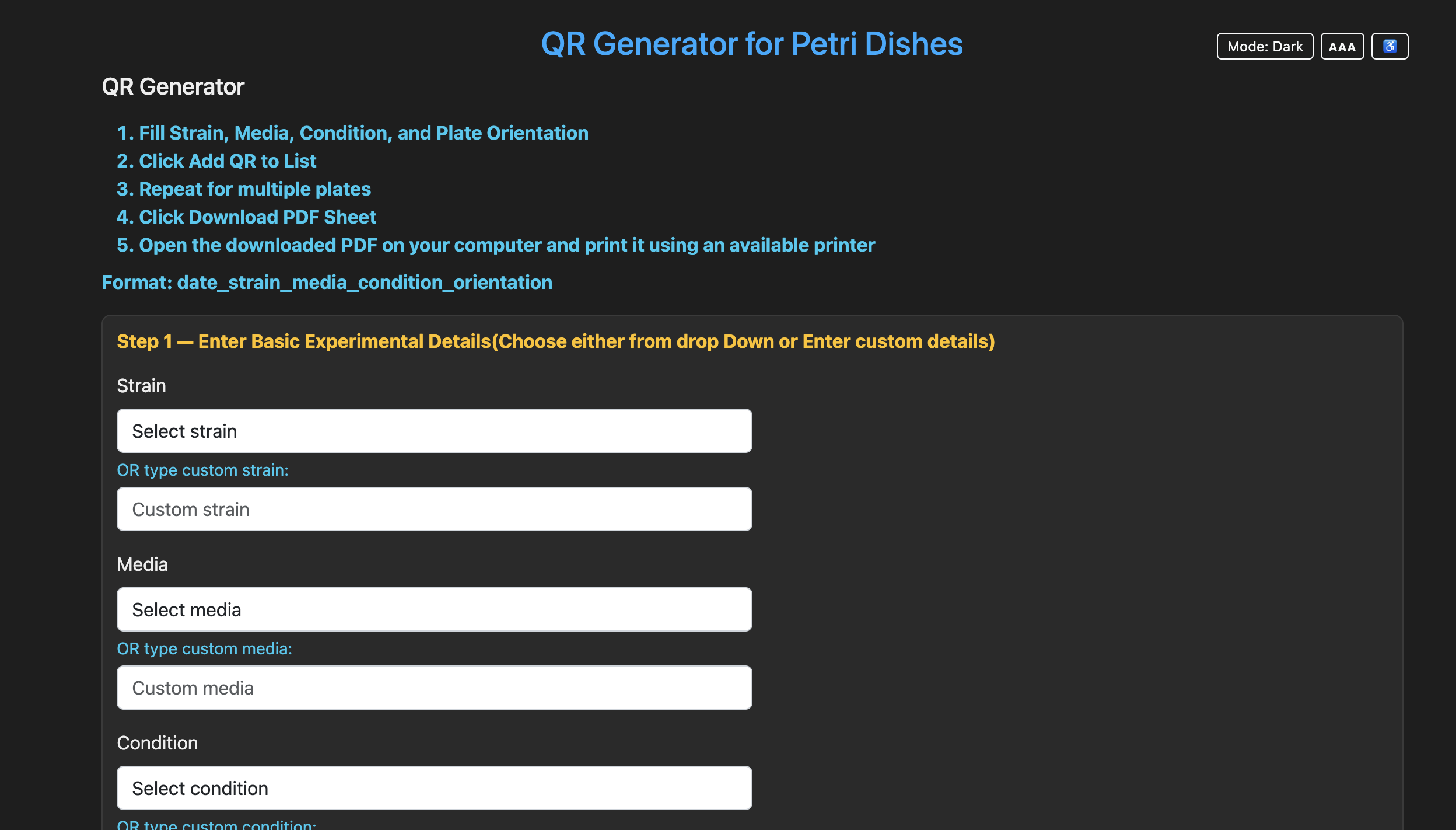 QR code generator page with experimental detail fields